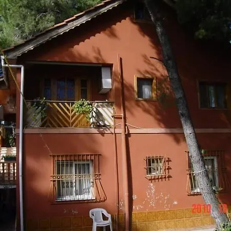 Hyla * Golem (Tirana)