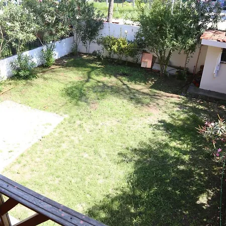 Hyla Golem (Tirana)