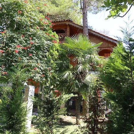 Hyla Apartment *